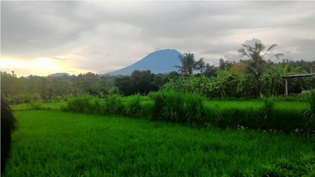 Pondok Intaran Karangasem Екстериор снимка